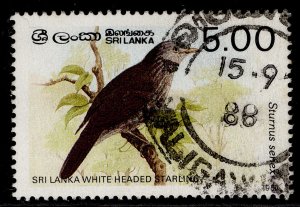 SRI LANKA QEII SG987B, 5c white headed starling 1987, FINE USED.