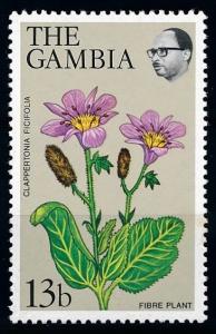 [67110] Gambia 1979 Flora Flowers Blumen  MNH