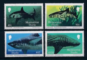 [49505] Montserrat 1987 Marine life Sharks Overprint specimen MNH