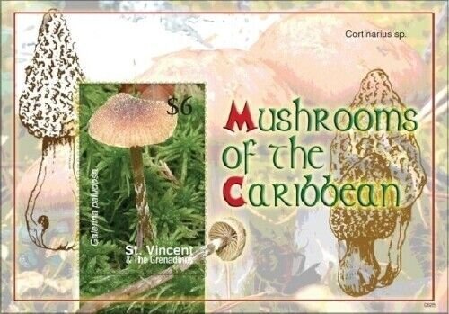 St. Vincent 2006 - SC# 3563 Caribbean Mushrooms, Flora - Souvenir Sheet - MNH