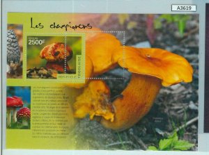 A3619-Togo ERROR MISSPERF 2014 natura mushrooms натура, Грибы.