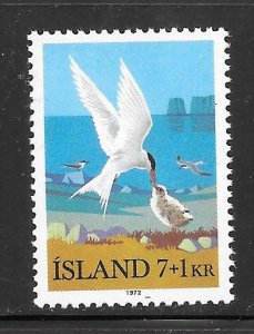 Iceland #B23 MNH Single