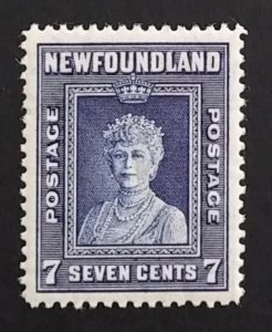 Newfoundland 258 VF VLH
