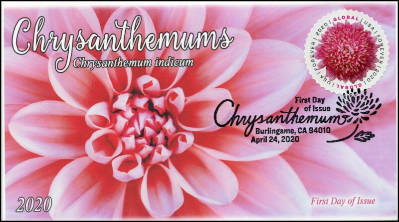 20-087, 2020, Chrysanthemum, Pictorial Postmark, First Day Cover, International