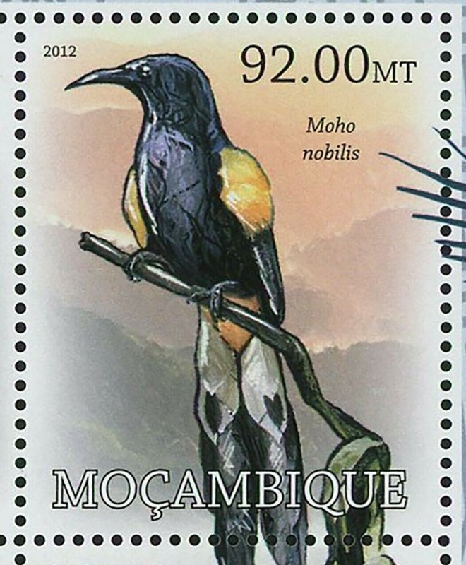 Birds Stamp Quiscalus Palustris Gallirallus Wakensis S/S MNH #5718-5725