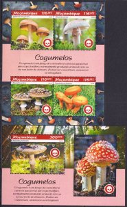 Gs1699 2019 Mozambique Mushrooms Flora Nature #9967-9970+Bl1429 Mnh
