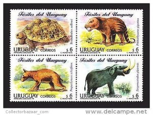 DINOSAUR FOSSILIZED ANIMALS TURTLE ELEPHANT URUGUAY  #1