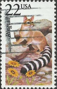 # 2302 USED RINGTAIL