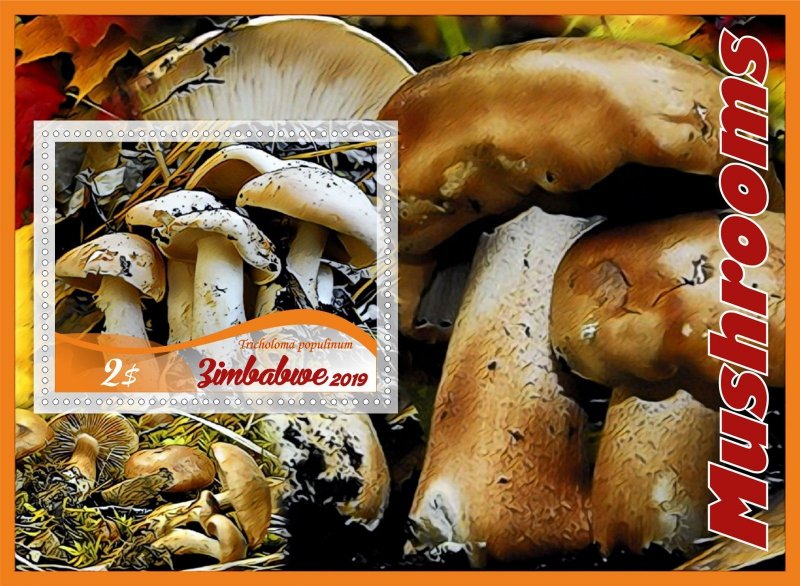 Mushrooms 8 sheets perforated  NEW