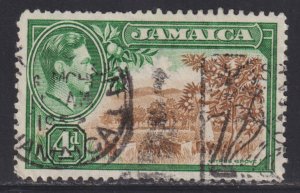 Jamaica 122 Citrus Grove 1938