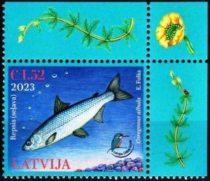 LATVIA 2023-05 FAUNA Animals: Fish. Nature Protection.  CORNER, MNH
