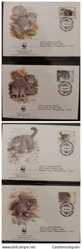 O) 1996 TAJIKISTAN, WWF - WORLD WILDLIFE FUN,  OTOCOLOBUS MAUL, FDC XF