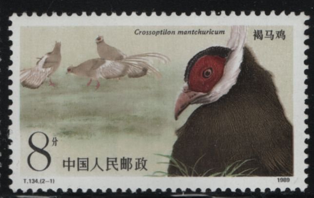 China People's Republic 1989 MNH Sc 2196 8f Brown-eared pheasant