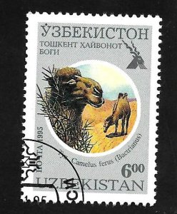 Uzbekistan 1995 - U - Scott #96