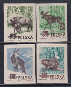 Poland 1954-5 Sc 660-3 Bison Elk Chamois Beaver Imp Stamp MNH DG