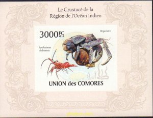 372756 MNH COMORES 2010