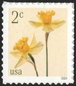 NEW ISSUE: 2¢ Daffodils Single (2024) SA