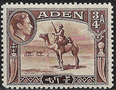 Aden #17 MNH Stamp - Camel Corpsman