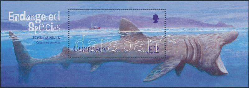 GB Guernsey stamp Endangered animals block MNH 2005 Mi 40 WS176216