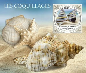 2021/09 - DJIBOUTI - SHELLS                         1V  complet set    MNH ** T