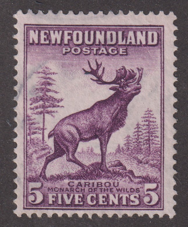 Newfoundland 257 Cariboo 1941