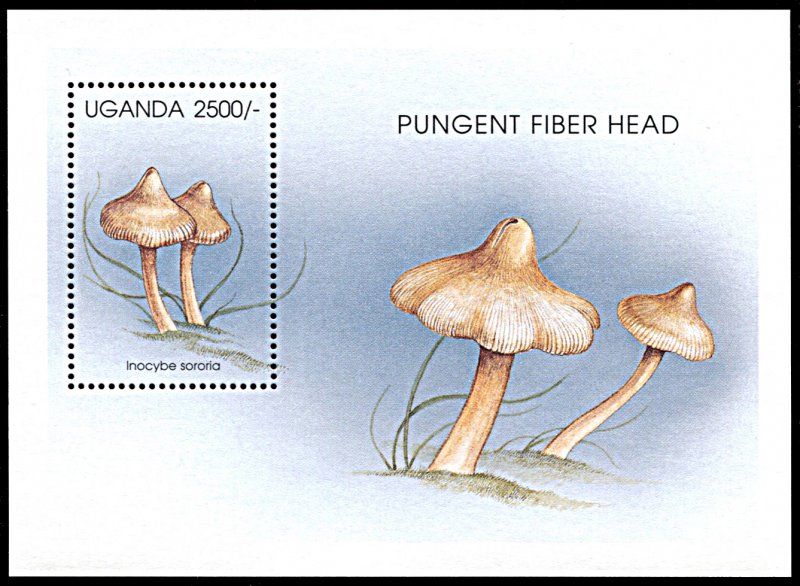 Uganda 1422, MNH, Mushroom souvenir sheet, Pungent Fiber Head