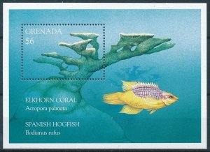 [109096] Grenada 1995 Marine life fish corals Souvenir Sheet MNH