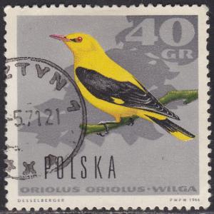 Poland 1455 European Golden Oriole 1966