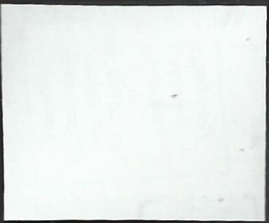 # 5397 Used Tree Frog