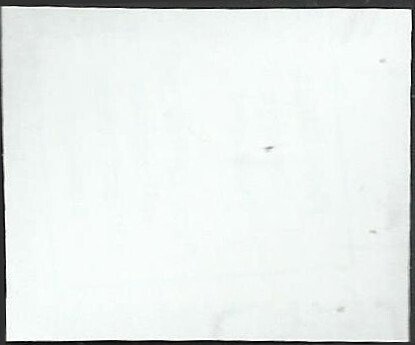 # 5397 Used Tree Frog