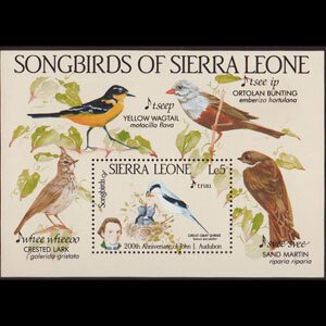 SIERRA LEONE 1985 - Scott# 675 S/S Bird-Shrike NH