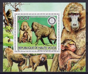 UPPER VOLTA 1984 Mi#Bl.92A ROTARY INTERNATIONAL-MONKEYS S/S Perforated MNH