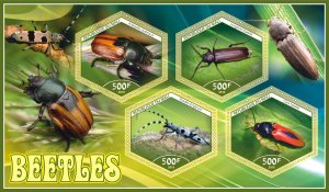 Stamps. Beetles, insects 2019 year 1+1 sheets perforated