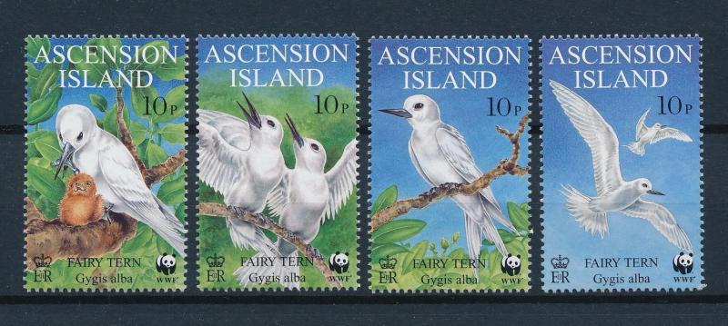 [53504] Ascension 1999 Birds Vögel Oiseaux Ucelli WWF Fairy tern MNH