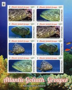 Antigua & Barbuda 2016 MNH Atlantic Goliath Grouper WWF 8v M/S Fish Stamps