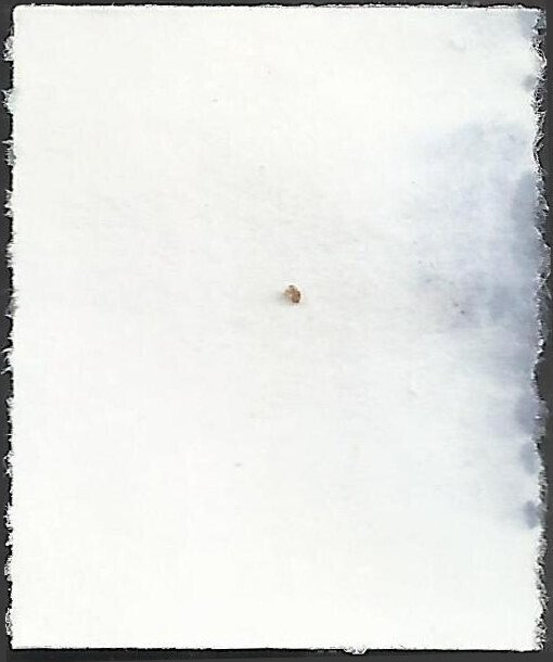 P.N.C. S2222 2892 Used G Stamp OLD Glory United States, General