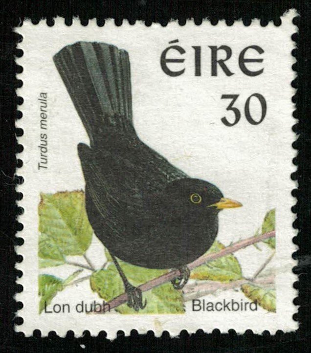 Bird 30c (T-5218)