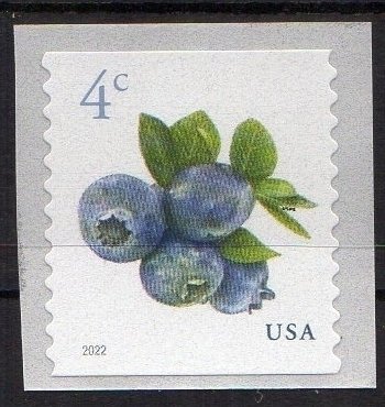 US 2022 5653 Blueberries Coil Single - MNH