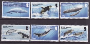 British Antarctic Territory-Sc#501-6- id9-unused NH set-Whales-Marine Life-     