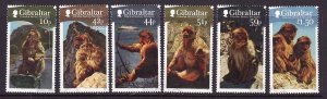 Gibraltar-Sc#1290-5-used set-Barbary Macaques-Animals-2011-