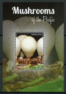 Micronesia 2013 MNH Mushrooms of Pacific II 1v S/S Nature Weraroa Novae