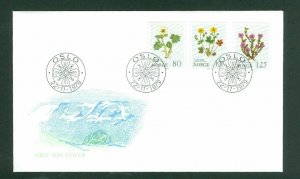 Norway. FDC 1979. Flowers III. Stamps 0.80 + 1.00 +1.25 Kr.