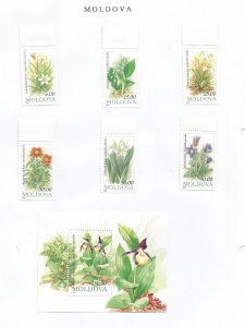 MOLDOVA - 1993 - Flora - Perf 6v Set & Souv Sheet - M L H