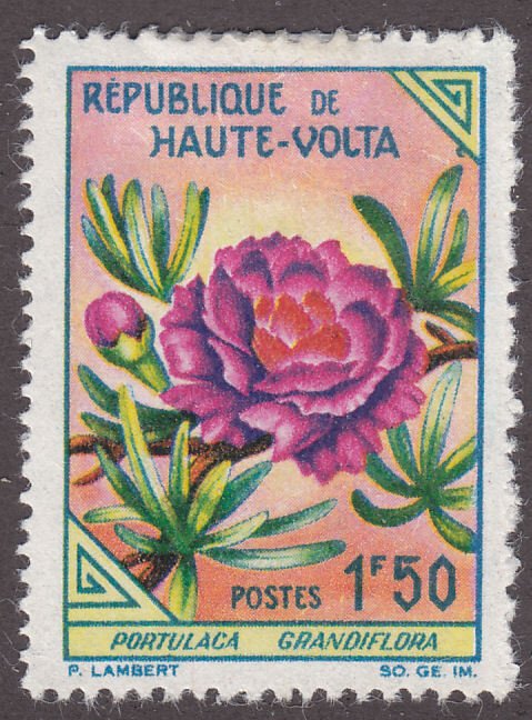 Burkina Faso 113 Rose Moss 1963