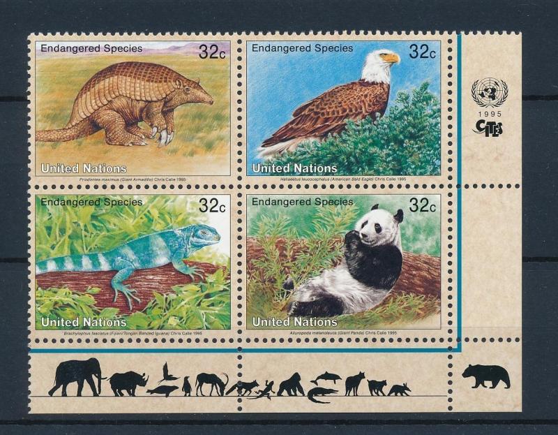 [40038] UN New York 1995 Wild Animals Armadillo Eagle Iguana Panda MNH