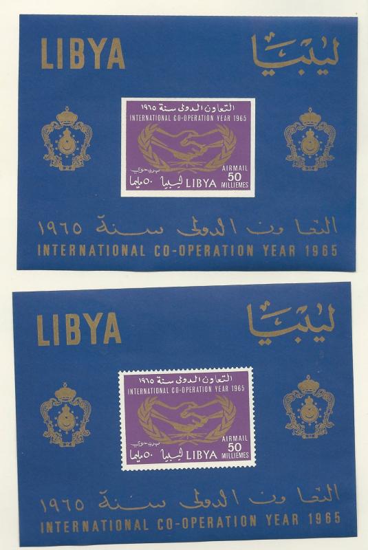 Libya # C51a  Cooperation Year - souvenir sheet perf. & imperf. (2) Mint NH