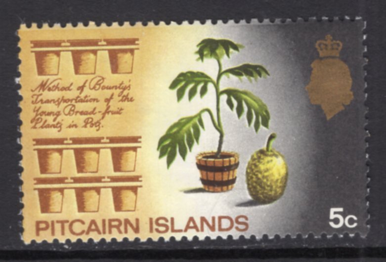 Pitcairn Island 101 MNH VF