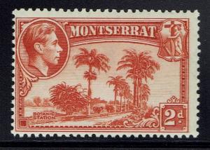 Montserrat SG# 104 - Mint Hinged - Perf 13 - Lot 032116