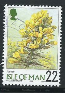 Isle of Man  SG 780 VFU imprint 1999