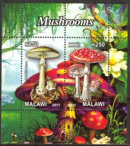 Malawi 2011 Mushrooms (1) MNH Cinderella !